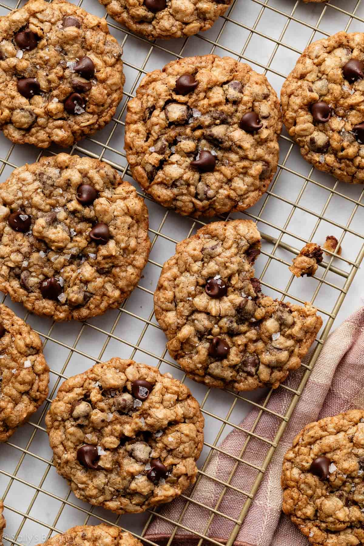 Bake Perfect Chewy Chocolate Chip Oatmeal Cookies Today
